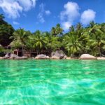 beach bars