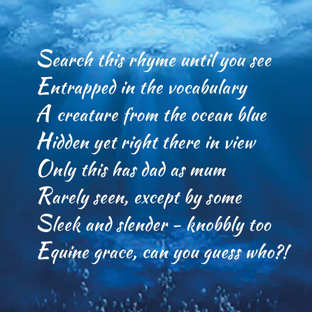 seahorse